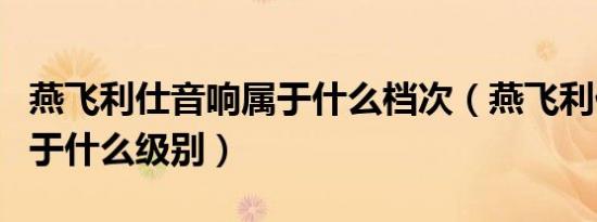 燕飞利仕音响属于什么档次（燕飞利仕音响属于什么级别）