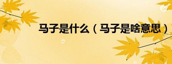 马子是什么（马子是啥意思）