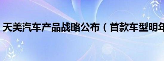 天美汽车产品战略公布（首款车型明年上市）
