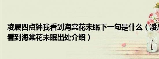 凌晨四点钟我看到海棠花未眠下一句是什么（凌晨四点钟我看到海棠花未眠出处介绍）
