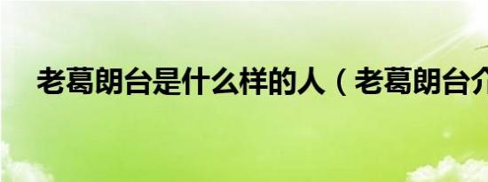 老葛朗台是什么样的人（老葛朗台介绍）
