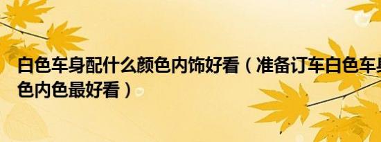 白色车身配什么颜色内饰好看（准备订车白色车身配什么颜色内色最好看）