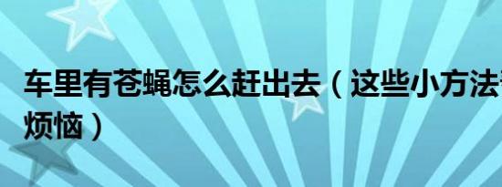 车里有苍蝇怎么赶出去（这些小方法帮你赶走烦恼）