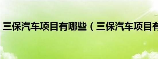 三保汽车项目有哪些（三保汽车项目有哪些）
