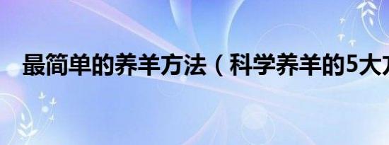 最简单的养羊方法（科学养羊的5大方法）