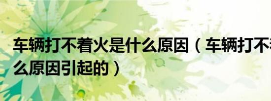 车辆打不着火是什么原因（车辆打不着火是什么原因引起的）