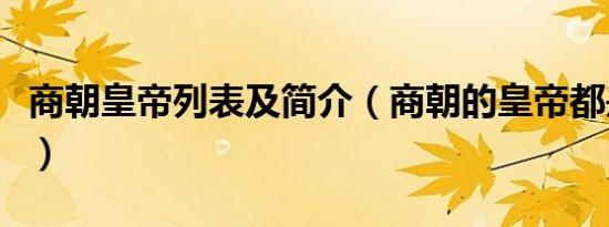 商朝皇帝列表及简介（商朝的皇帝都是哪几位）