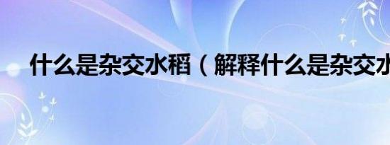 什么是杂交水稻（解释什么是杂交水稻）