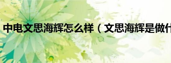 中电文思海辉怎么样（文思海辉是做什么的）