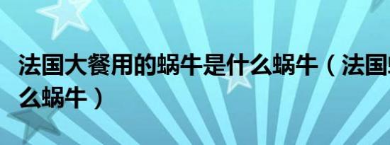 法国大餐用的蜗牛是什么蜗牛（法国蜗牛是什么蜗牛）