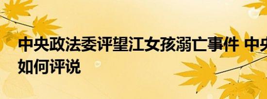 中央政法委评望江女孩溺亡事件 中央政法委如何评说