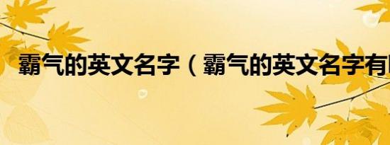 霸气的英文名字（霸气的英文名字有哪些）