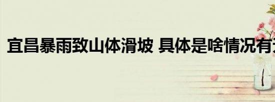 宜昌暴雨致山体滑坡 具体是啥情况有无伤亡