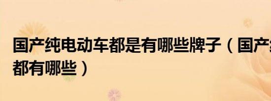 国产纯电动车都是有哪些牌子（国产纯电动车都有哪些）