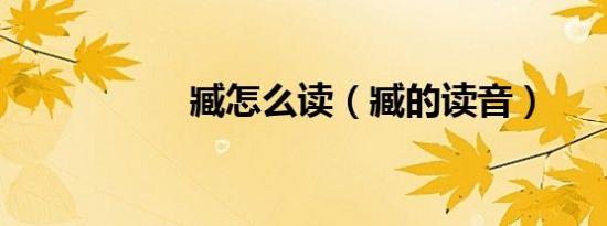 臧怎么读（臧的读音）