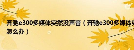 奔驰e300多媒体突然没声音（奔驰e300多媒体突然没声音怎么办）