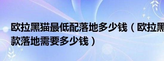 欧拉黑猫最低配落地多少钱（欧拉黑猫2022款落地需要多少钱）