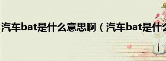 汽车bat是什么意思啊（汽车bat是什么意思）