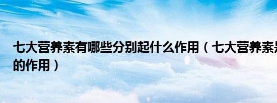 七大营养素有哪些分别起什么作用（七大营养素是什么各自的作用）