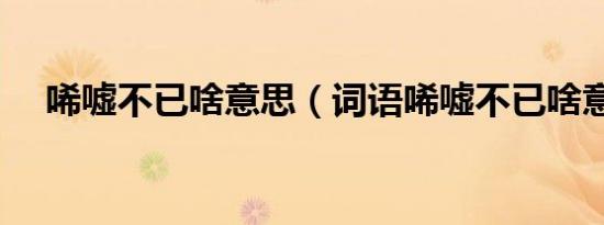 唏嘘不已啥意思（词语唏嘘不已啥意思）