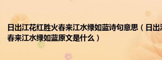 日出江花红胜火春来江水绿如蓝诗句意思（日出江花红胜火春来江水绿如蓝原文是什么）