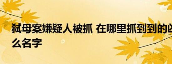 弑母案嫌疑人被抓 在哪里抓到到的凶手叫什么名字