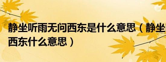 静坐听雨无问西东是什么意思（静坐听雨无问西东什么意思）