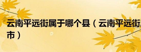 云南平远街属于哪个县（云南平远街属于哪个市）