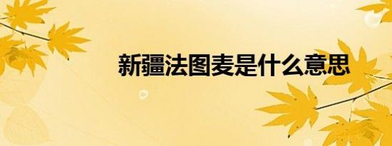 新疆法图麦是什么意思