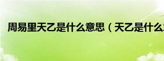 周易里天乙是什么意思（天乙是什么意思）