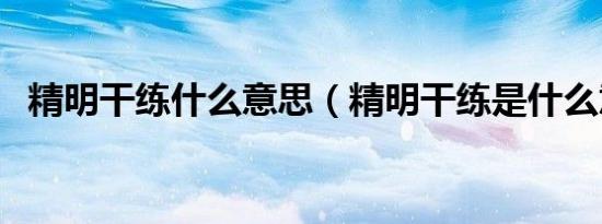 精明干练什么意思（精明干练是什么意思）