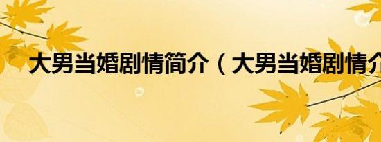 大男当婚剧情简介（大男当婚剧情介绍）