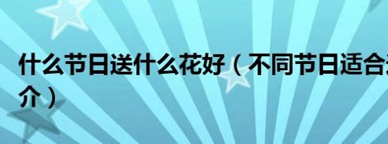 什么节日送什么花好（不同节日适合送的花简介）