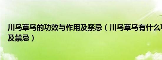 川乌草乌的功效与作用及禁忌（川乌草乌有什么功效与作用及禁忌）