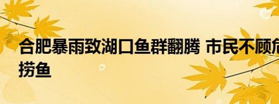 合肥暴雨致湖口鱼群翻腾 市民不顾危险纷纷捞鱼