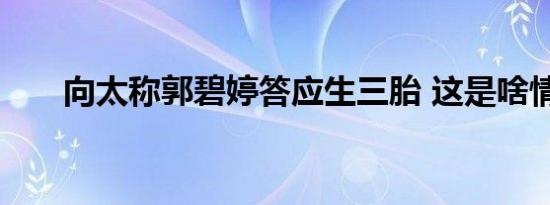 向太称郭碧婷答应生三胎 这是啥情况