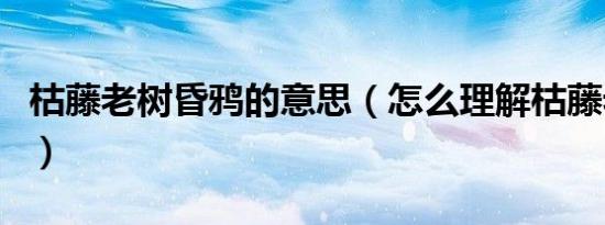 枯藤老树昏鸦的意思（怎么理解枯藤老树昏鸦）
