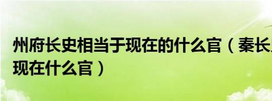 州府长史相当于现在的什么官（秦长史相当于现在什么官）