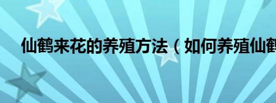 仙鹤来花的养殖方法（如何养殖仙鹤来）