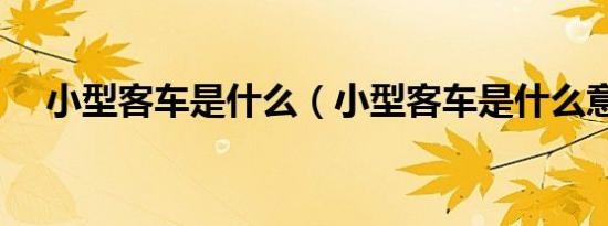 小型客车是什么（小型客车是什么意思）