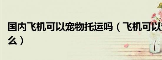 国内飞机可以宠物托运吗（飞机可以宠物托运么）