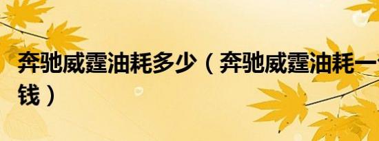 奔驰威霆油耗多少（奔驰威霆油耗一公里多少钱）