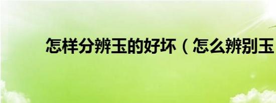 怎样分辨玉的好坏（怎么辨别玉）
