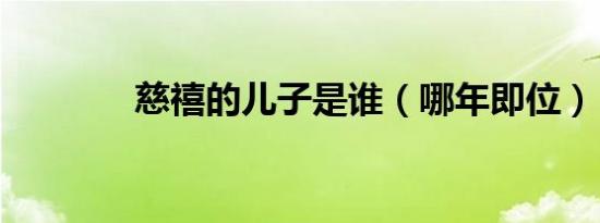 慈禧的儿子是谁（哪年即位）