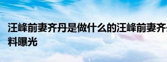 汪峰前妻齐丹是做什么的汪峰前妻齐丹个人资料曝光