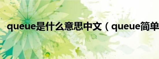 queue是什么意思中文（queue简单释义）