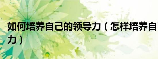 如何培养自己的领导力（怎样培养自己的领导力）