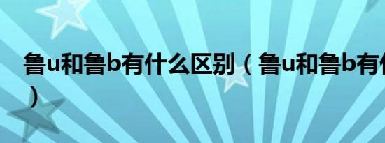 鲁u和鲁b有什么区别（鲁u和鲁b有什么区别）