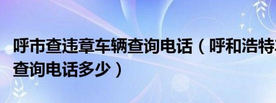 呼市查违章车辆查询电话（呼和浩特车辆违章查询电话多少）