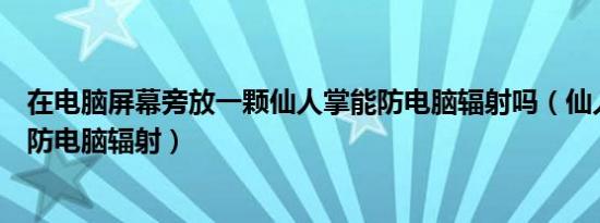 在电脑屏幕旁放一颗仙人掌能防电脑辐射吗（仙人掌能不能防电脑辐射）